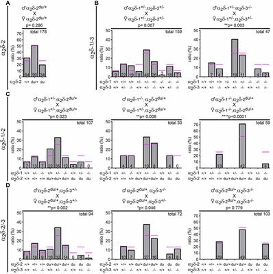 Phenotypic Characterization and Brain Structure Analysis of Calcium Channel Subunit α2δ-2 Mutant (Ducky) and α2δ Double Knockout Mice